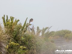 p_0227